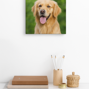 Stretched Canvas Prints